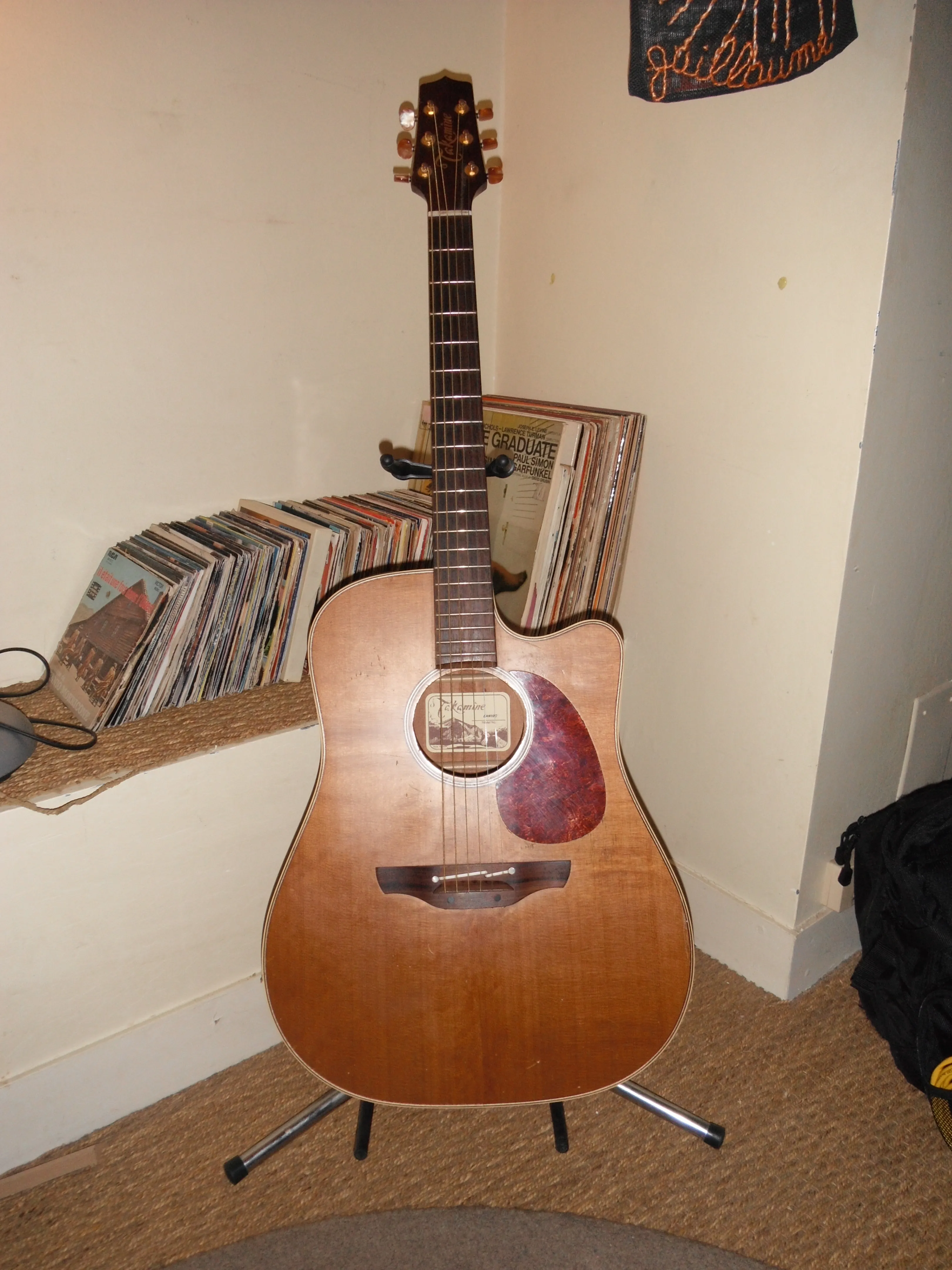 Takamine EAN10c