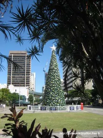 IMG_1835